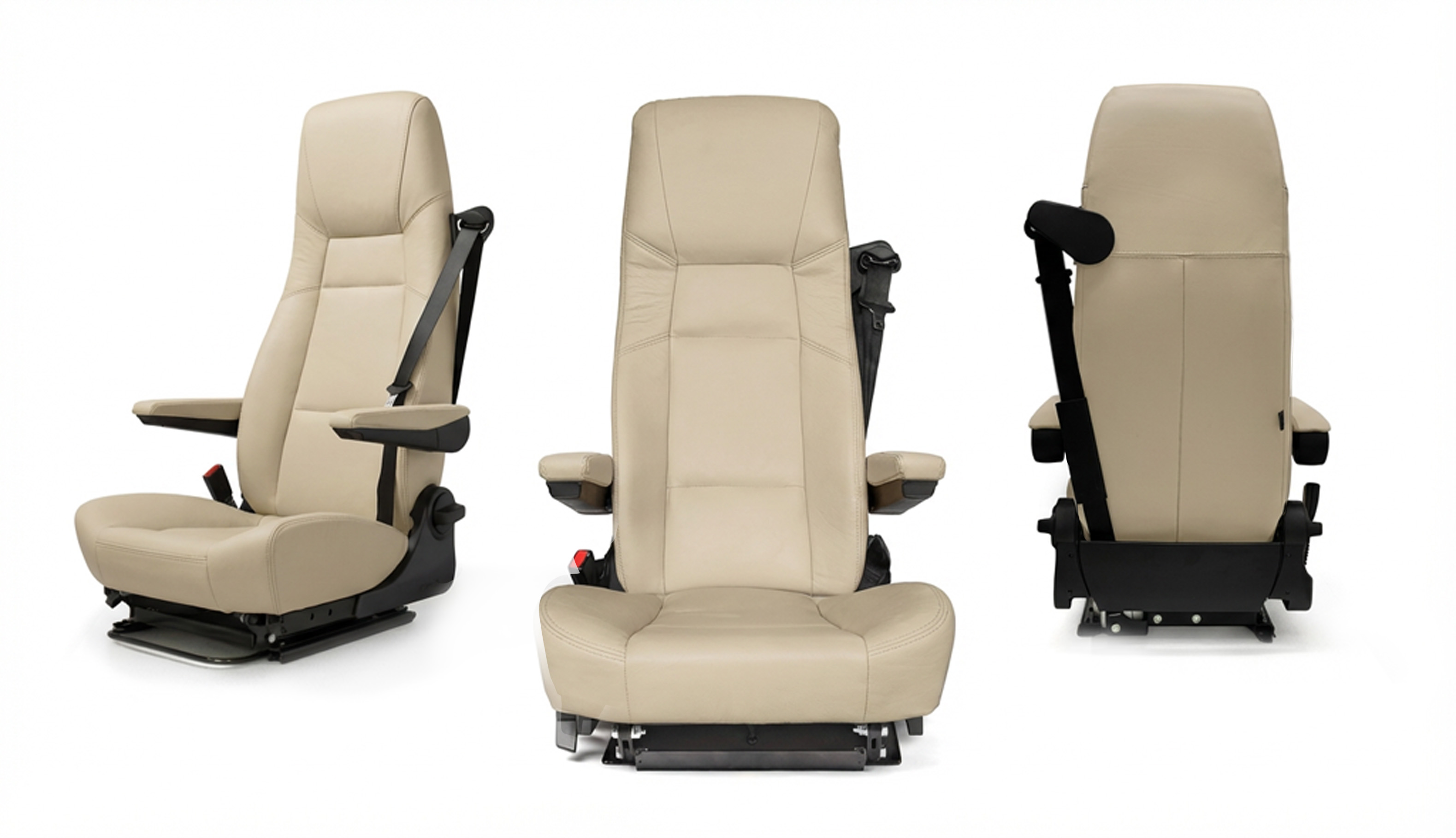 3 views aguti GIS-Liner12